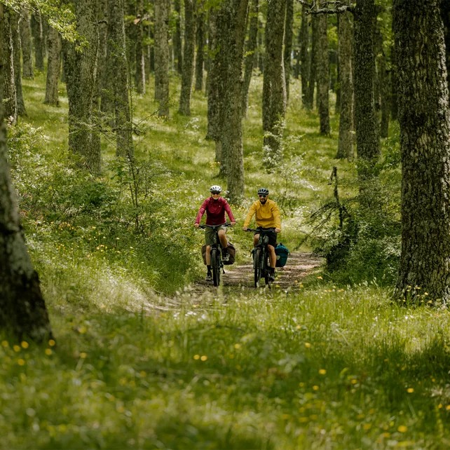 csm_Bosch-eBike-Leisure-Italy-PX-MY26-057_831d6bee3e